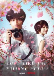 Love Like the Falling Petals (2022) ใบไม้ผลิที่ไม่มีเธอเป็นซากุระ