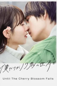 Until The Cherry Blossom Falls (2024) จนกว่าซากุระจะโรยร่วง