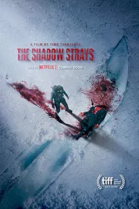 The Shadow Strays (2024) นักฆ่าเงาล่าทรชน