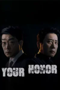 Your Honor ศึกคดีเดือด (2024)